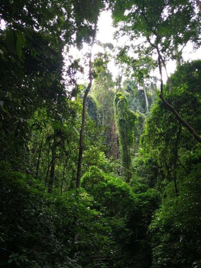 荒岛枪训